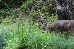 IMG_1751