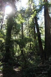 IMG_1836