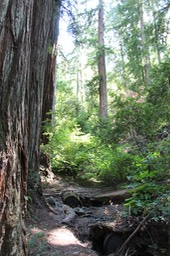 IMG_1837