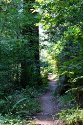 IMG_1842