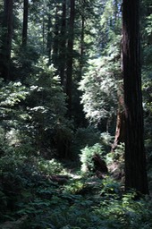 IMG_1855