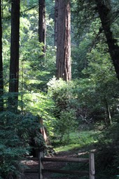 IMG_1870