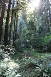 IMG_1871
