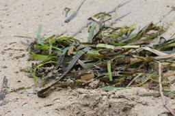 IMG_1876