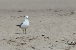 IMG_1894