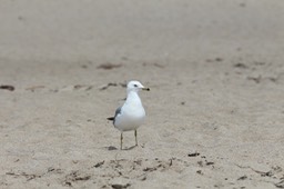 IMG_1895