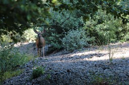 IMG_1903