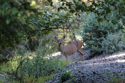 IMG_1907