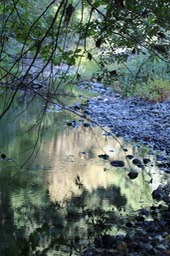 IMG_1914