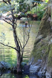 IMG_1951