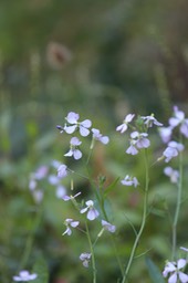 IMG_1956