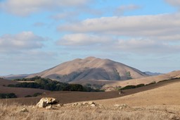 IMG_2001