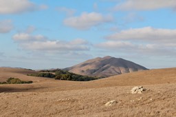 IMG_2004