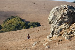 IMG_2013
