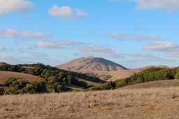 IMG_2024