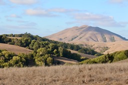 IMG_2026