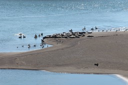 IMG_2054