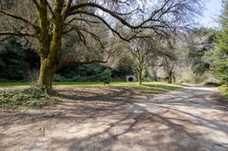 IMG_2605