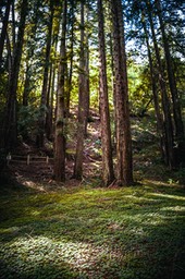 IMG_2711
