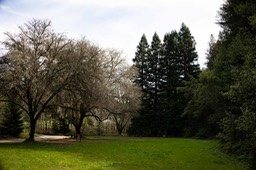 IMG_2715
