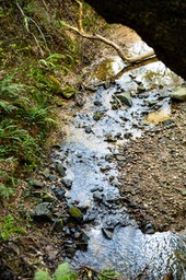IMG_2728