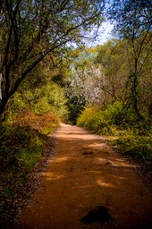IMG_2741