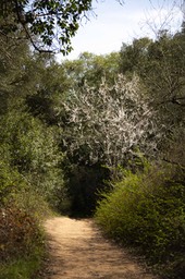 IMG_2743