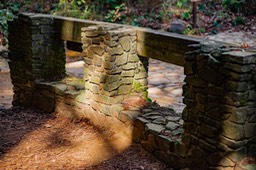 IMG_2750