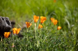IMG_2795