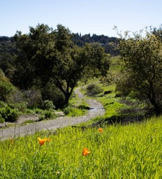 IMG_2801