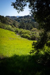 IMG_2802