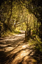 IMG_2823