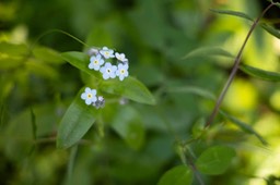 IMG_2865