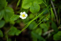 IMG_2866