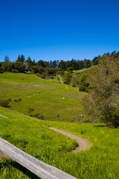 IMG_2868