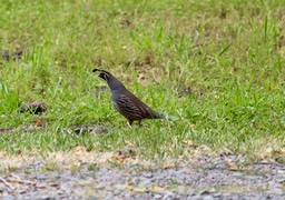 IMG_3670