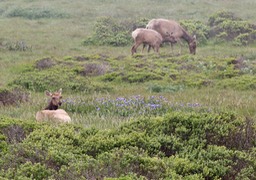 IMG_3696