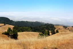 IMG_4380