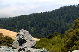 IMG_4385