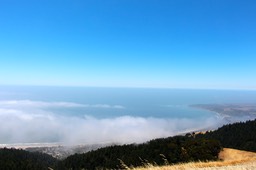 IMG_4386