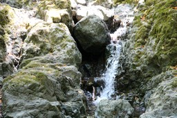 IMG_4397