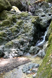 IMG_4400
