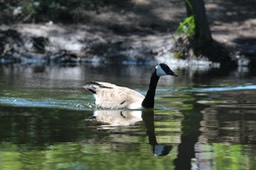 IMG_4994