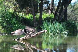 IMG_5000