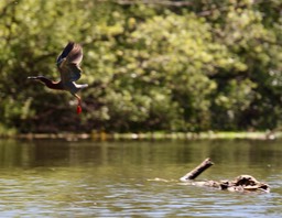 IMG_5020