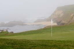 IMG_5292.jpg