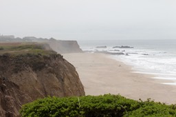 IMG_5321.jpg