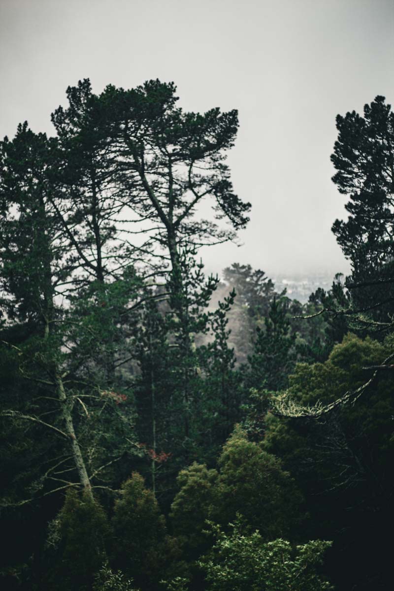IMG_6236