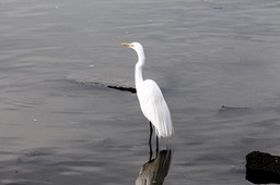 IMG_6678