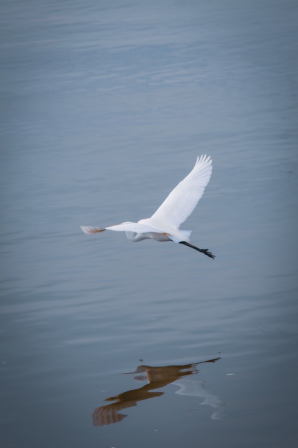 IMG_6680